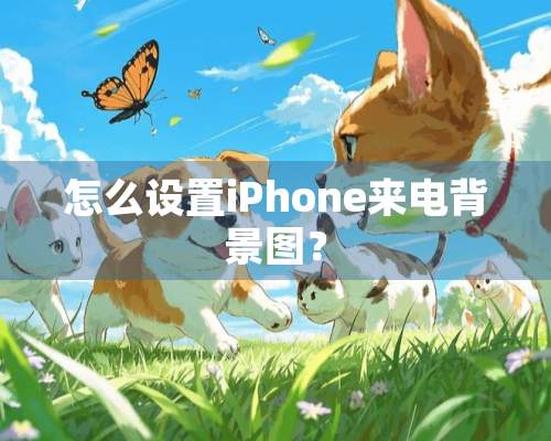 怎么设置iPhone来电背景图？