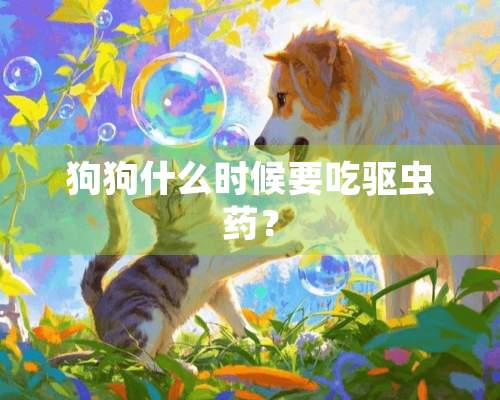 狗狗什么时候要吃驱虫药？