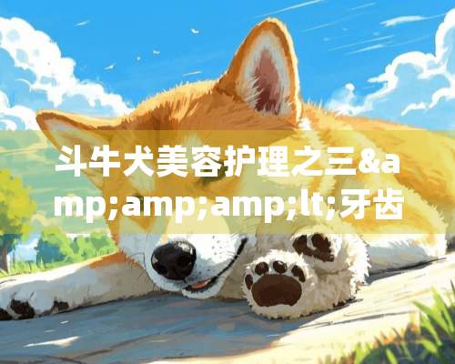 斗牛犬美容护理之三&amp;amp;lt;牙齿的护理&amp;amp;gt;