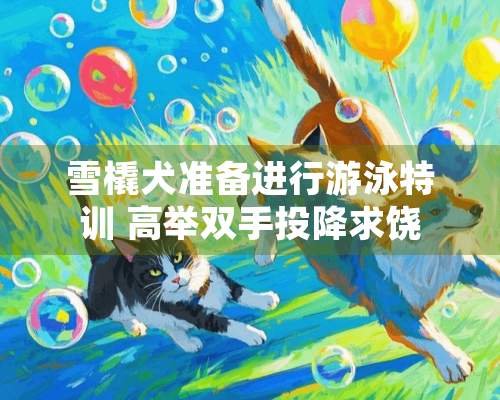 雪橇犬准备进行游泳特训 高举双手投降求饶