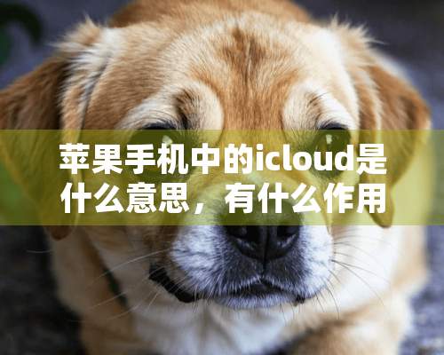 苹果手机中的icloud是什么意思，有什么作用？