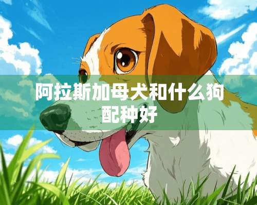 阿拉斯加母犬和什么狗配种好