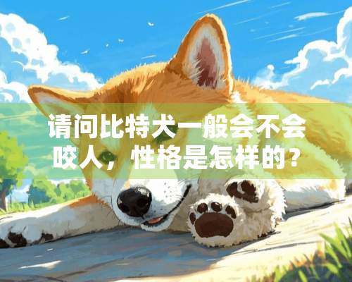 请问比特犬一般会不会咬人，性格是怎样的？