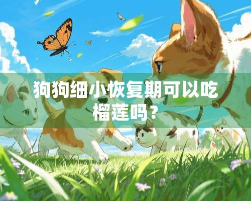 狗狗细小恢复期可以吃榴莲吗？