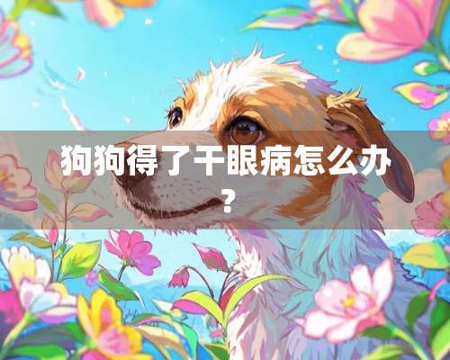 狗狗得了干眼病怎么办？