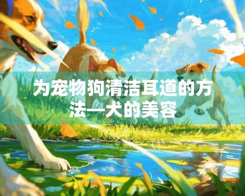 为宠物狗清洁耳道的方法—犬的美容