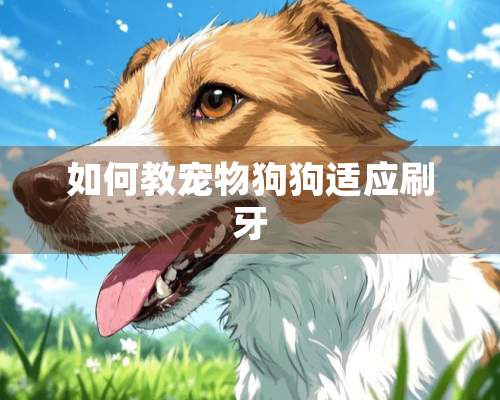 如何教宠物狗狗适应刷牙