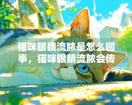 猫咪眼睛流脓是怎么回事，猫咪眼睛流脓会传染吗