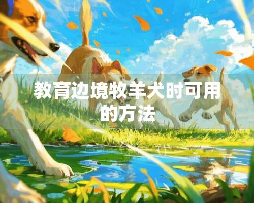 教育边境牧羊犬时可用的方法