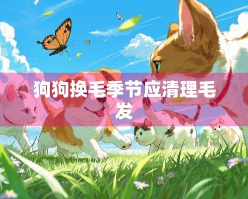 狗狗换毛季节应清理毛发