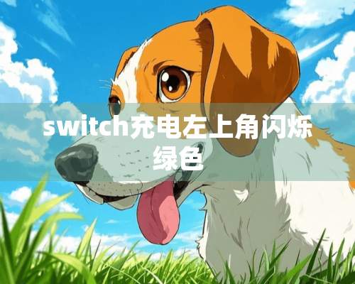 switch充电左上角闪烁绿色