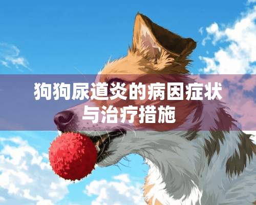 狗狗尿道炎的病因症状与治疗措施