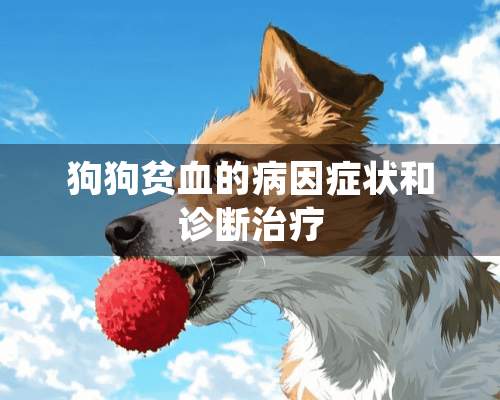 狗狗贫血的病因症状和诊断治疗