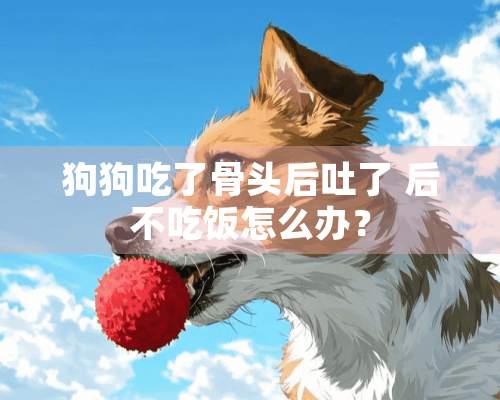 狗狗吃了骨头后吐了 后不吃饭怎么办？