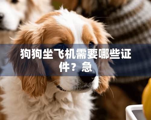 狗狗坐飞机需要哪些**？急