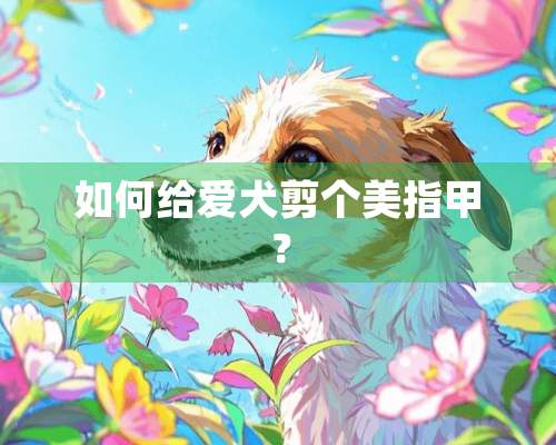 如何给爱犬剪个美指甲？