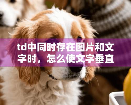 td中同时存在图片和文字时，怎么使文字垂直居中？