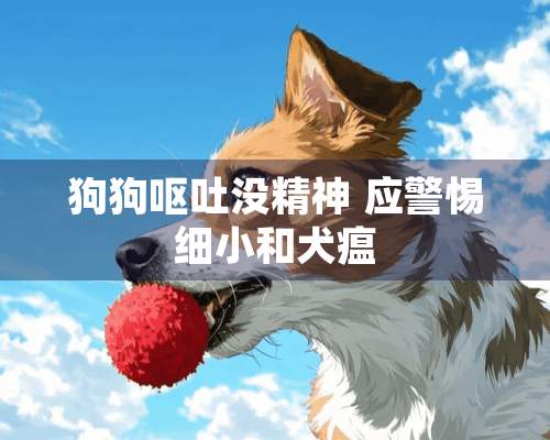 狗狗呕吐没精神 应警惕细小和犬瘟