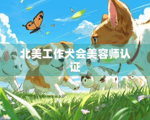 北美工作犬会美容师认证