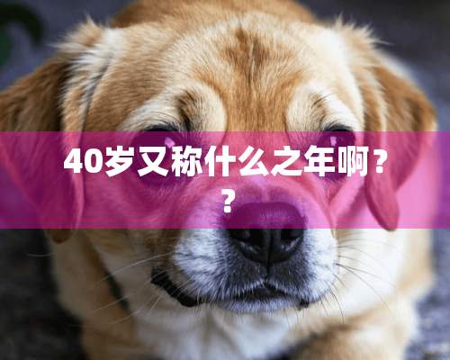 40岁又称什么之年啊？？