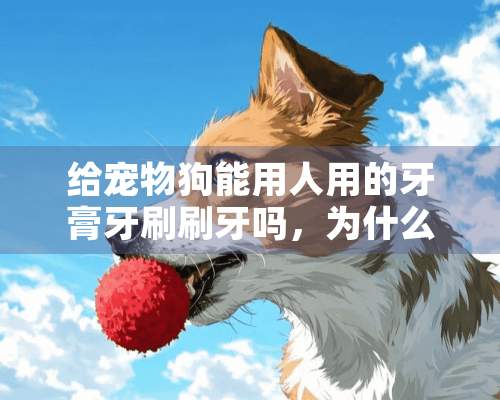 给宠物狗能用人用的牙膏牙刷刷牙吗，为什么？