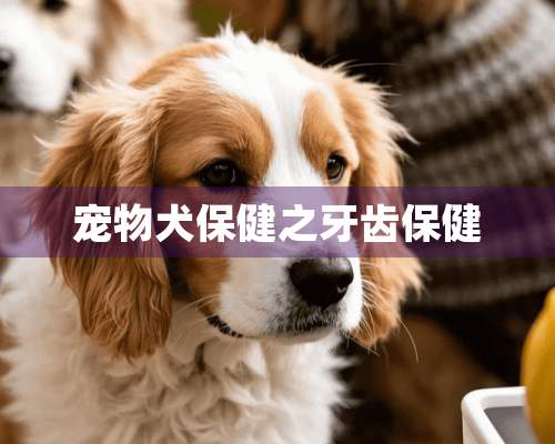 宠物犬保健之牙齿保健