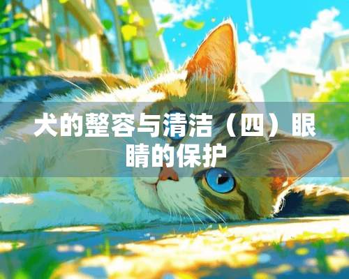 犬的整容与清洁（四）眼睛的保护