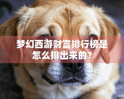 梦幻西游财富排行榜是怎么排出来的？