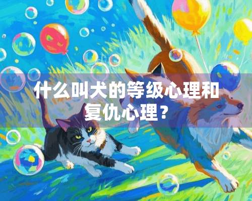 什么叫犬的等级心理和复仇心理？