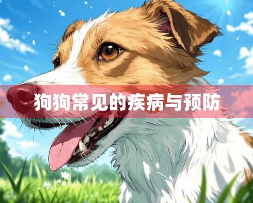 狗狗常见的疾病与预防