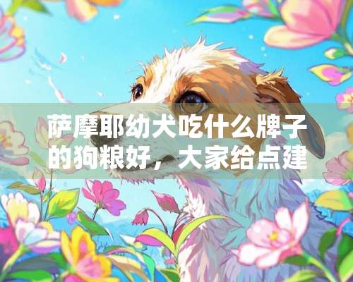 萨摩耶幼犬吃什么牌子的狗粮好，大家给点建