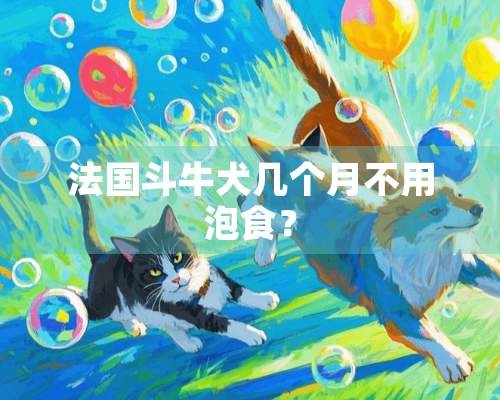 法国斗牛犬几个月不用泡食？