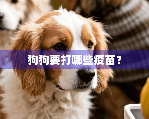 狗狗要打哪些**？