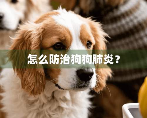 怎么防治狗狗肺炎？