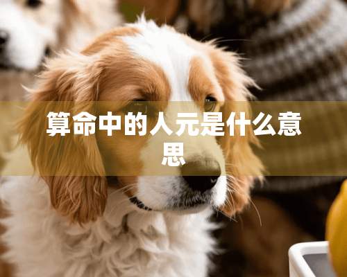 算命中的人元是什么意思