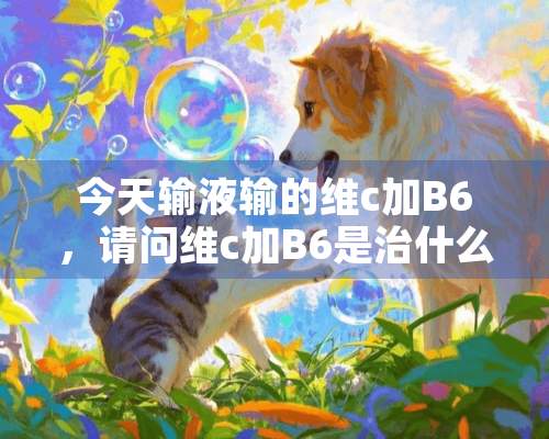 今天输液输的维c加B6，请问维c加B6是治什么的？