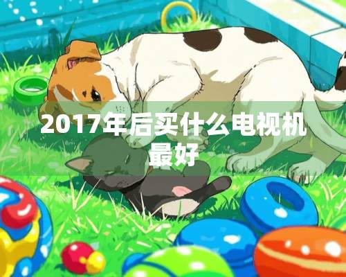 2017年后买什么电视机最好