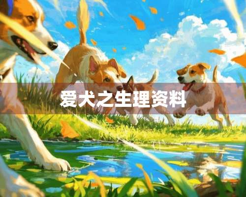 爱犬之生理资料