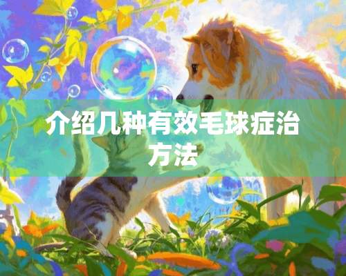 介绍几种有效毛球症治方法