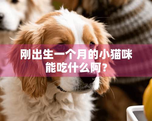 刚出生一个月的小猫咪能吃什么阿？