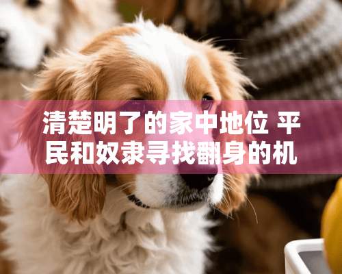 清楚明了的家中地位 平民和奴隶寻找翻身的机会