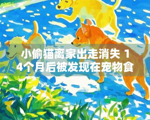 小偷猫离家出走消失 14个月后被发现在宠物食品厂