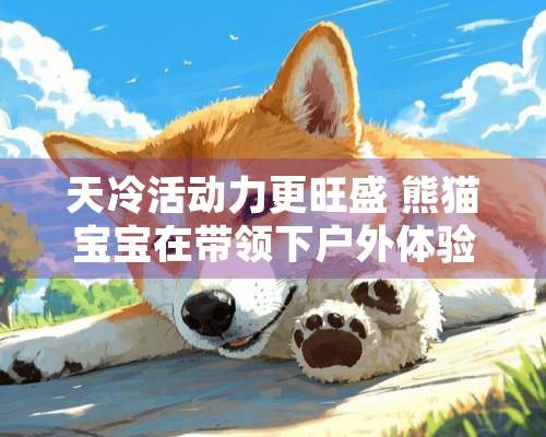 天冷活动力更旺盛 熊猫宝宝在带领下户外体验世界