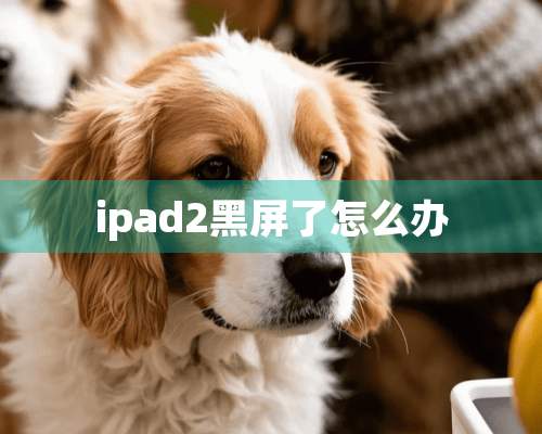 ipad2黑屏了怎么办