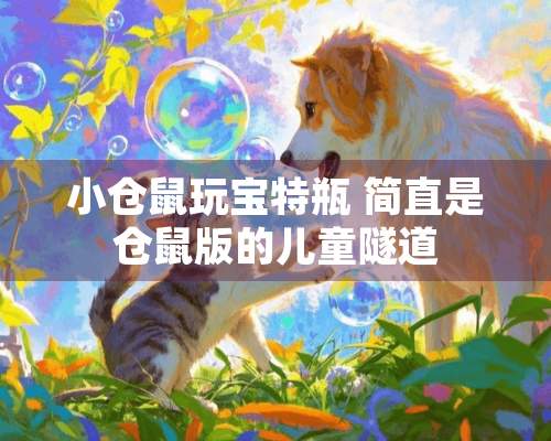 小仓鼠玩宝特瓶 简直是仓鼠版的儿童隧道