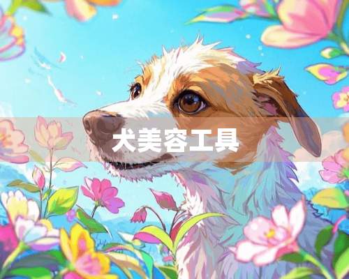 犬美容工具