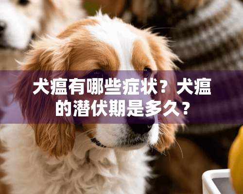 犬瘟有哪些症状？犬瘟的潜伏期是多久？