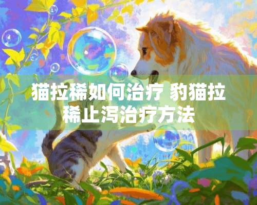 猫拉稀如何治疗 豹猫拉稀止泻治疗方法