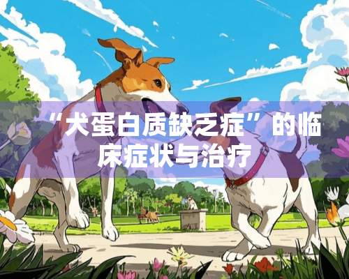 “犬蛋白质缺乏症”的临床症状与治疗