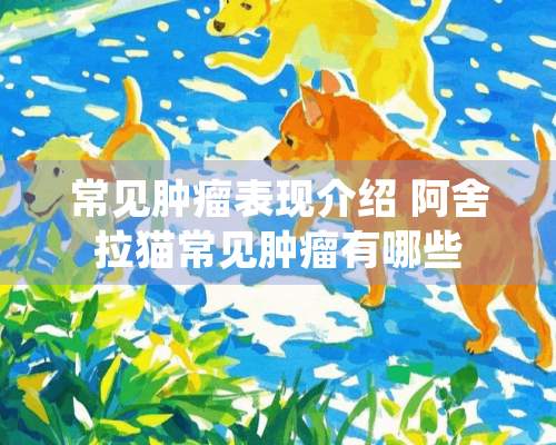 常见肿瘤表现介绍 阿舍拉猫常见肿瘤有哪些